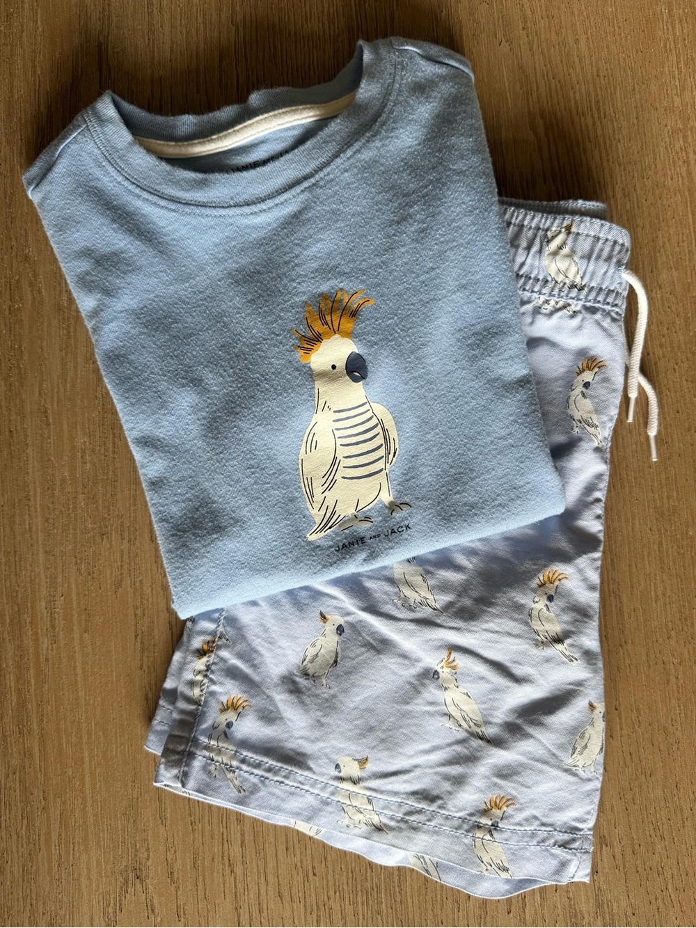 Janie and Jack Boys Sz 6 Light Blue Cockatoo T-shirt